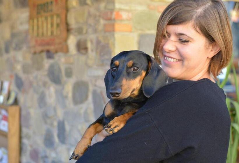 ペンション B&b Nonna Cecilia