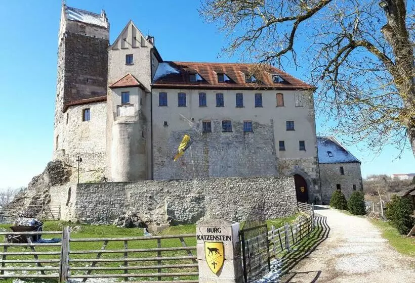 ペンション Burg Katzenstein