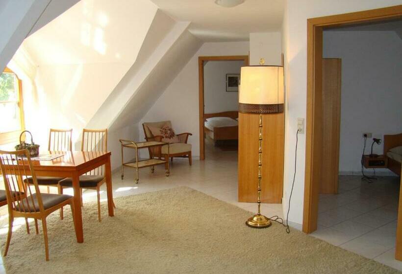 膳宿费 Burg Katzenstein