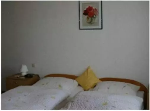 Majatalo Gasthaus Zur Krone