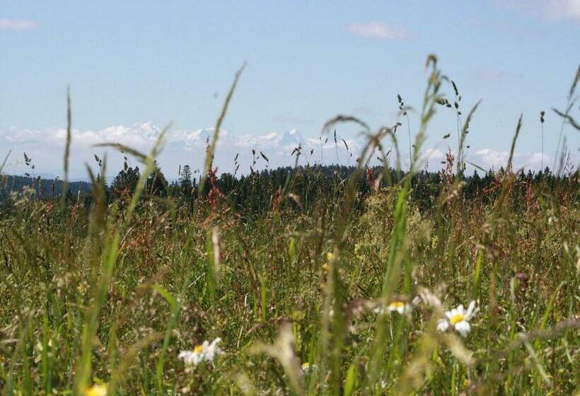 膳宿费 Haus Tannenhof