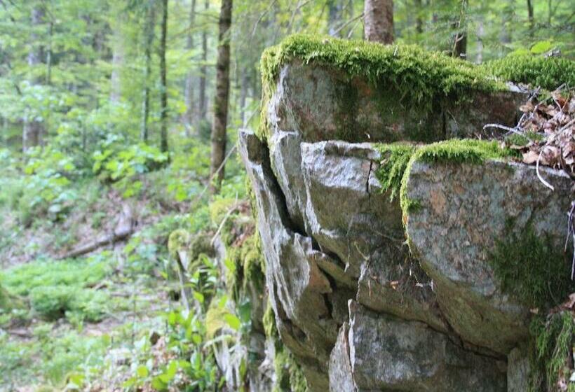 膳宿费 Haus Tannenhof