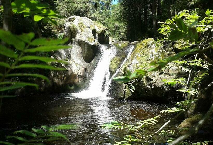 膳宿费 Haus Tannenhof