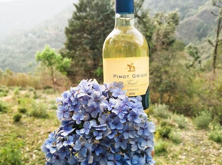 ベッドアンドブレックファースト Shirori