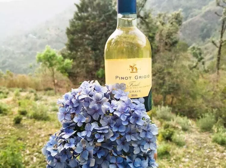 Aamiaismajoitus (B&B) Shirori