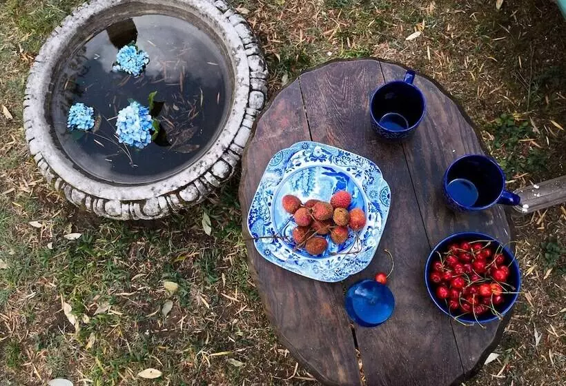 Aamiaismajoitus (B&B) Shirori