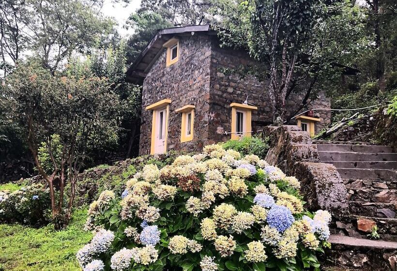 ベッドアンドブレックファースト Shirori