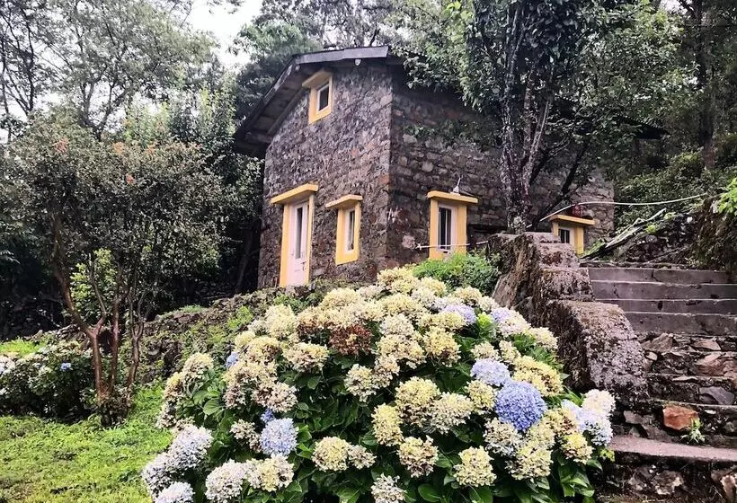 Aamiaismajoitus (B&B) Shirori