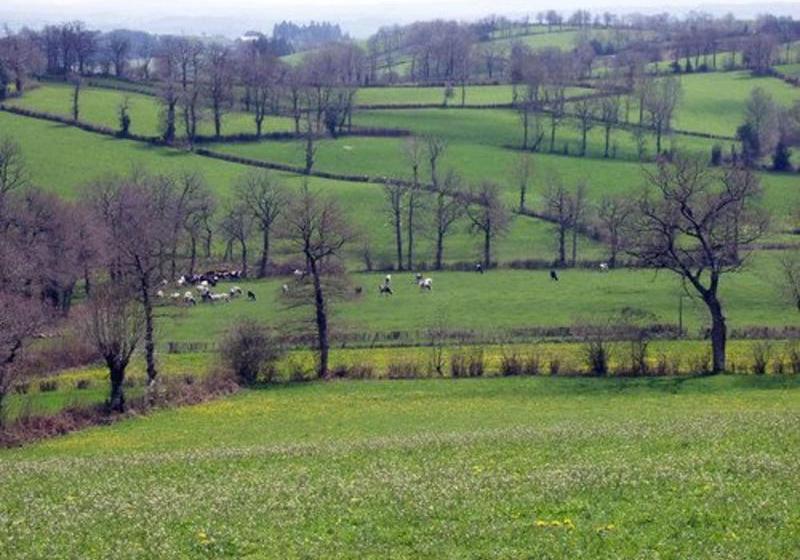 Gite De La Fontaine De Barry