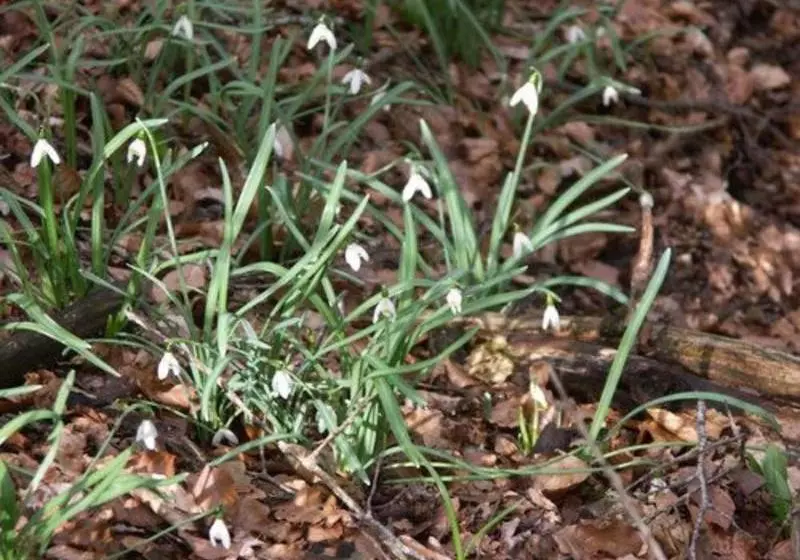 Gite De La Fontaine De Barry