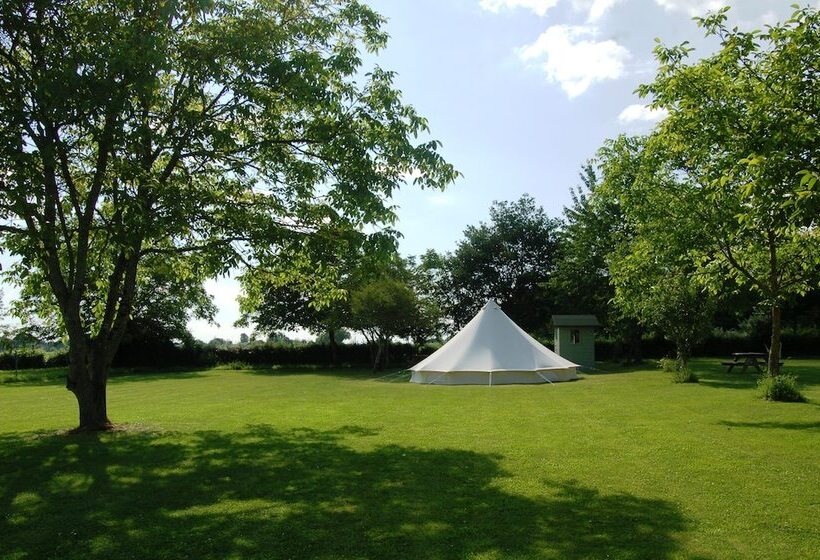 בית מלון כפרי Camping La Forêt De Tessé