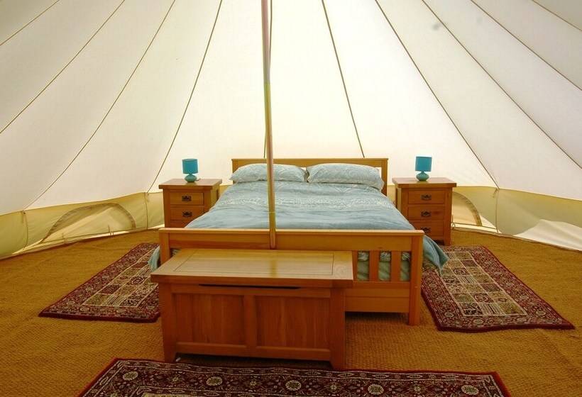 בית מלון כפרי Camping La Forêt De Tessé