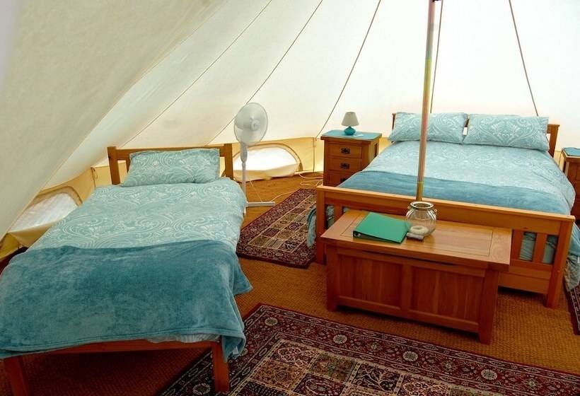 בית מלון כפרי Camping La Forêt De Tessé