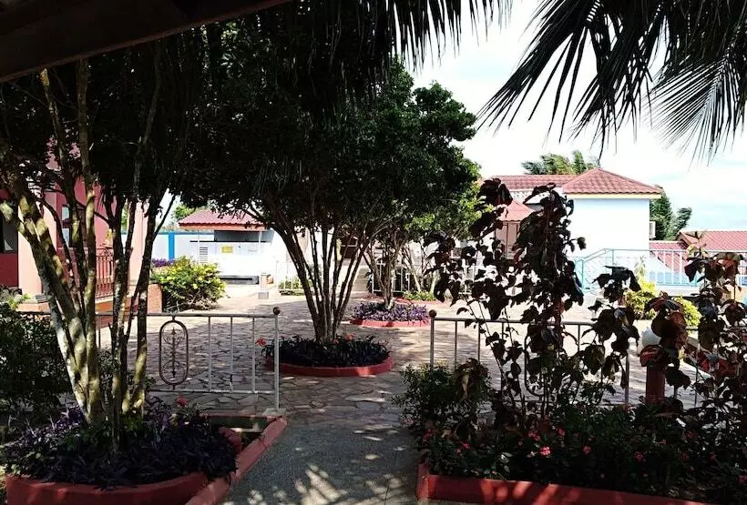 ホテル Waterfront Paradise Resort