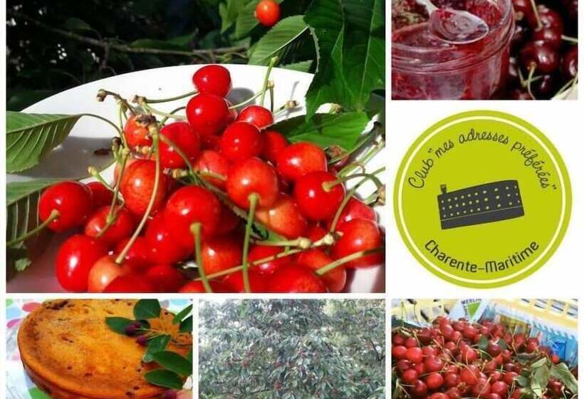 بنسيون La Clef Des Champs