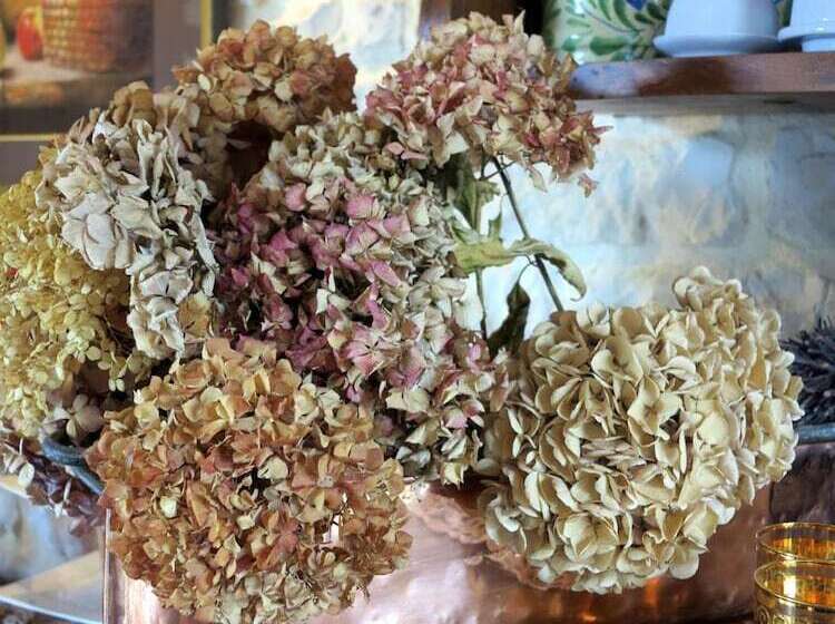 بنسيون La Clef Des Champs