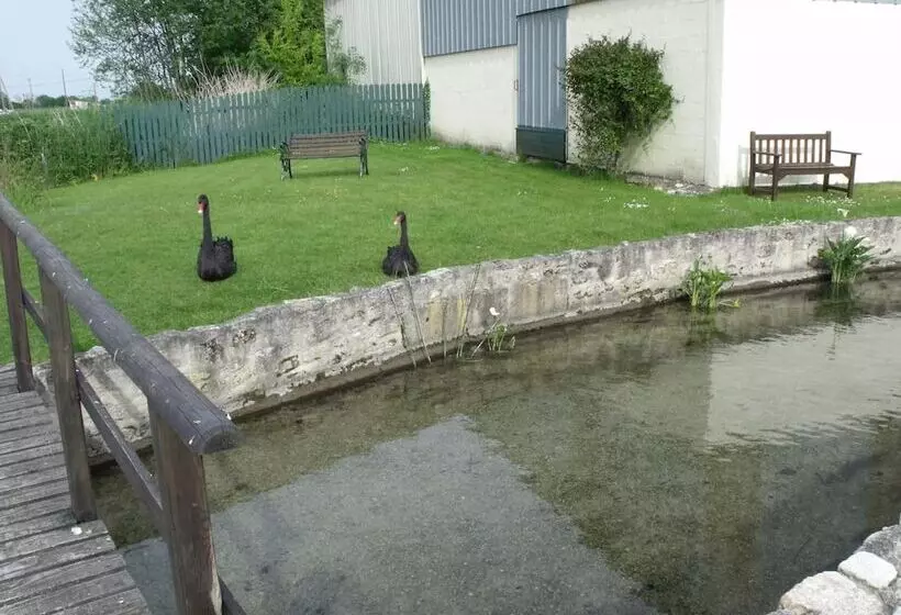 Aamiaismajoitus (B&B) Les Cygnes Noirs