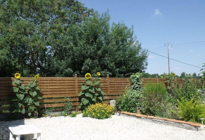 צימר Les Cygnes Noirs