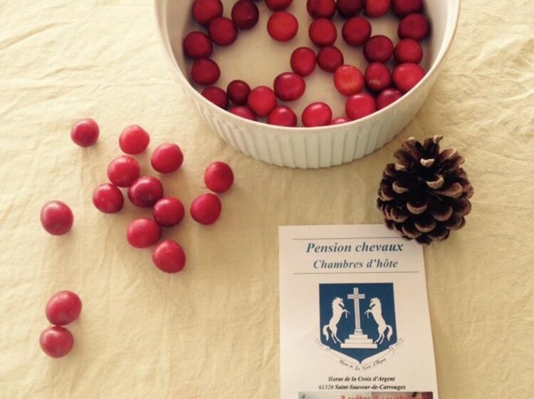 צימר Haras De La Croix D'argent