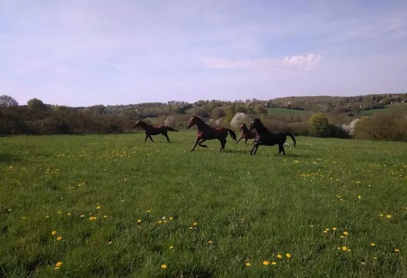 Aamiaismajoitus (B&B) Haras De La Croix D'argent