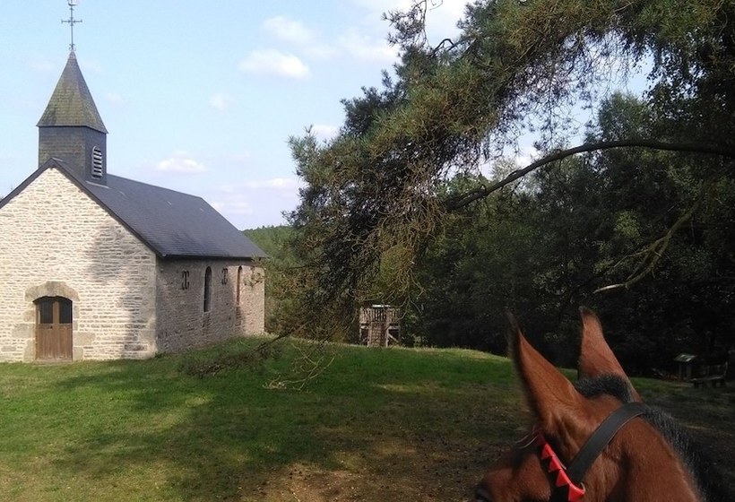 住宿加早餐  Haras De La Croix D'argent