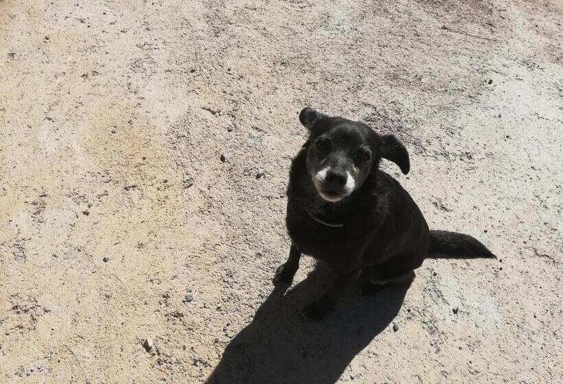 簡易ホテル Le Petit Chateau