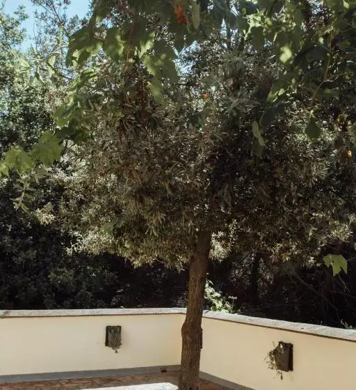 Hostelli Le Petit Chateau