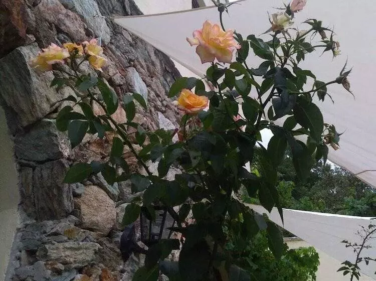 Hostelli Le Petit Chateau