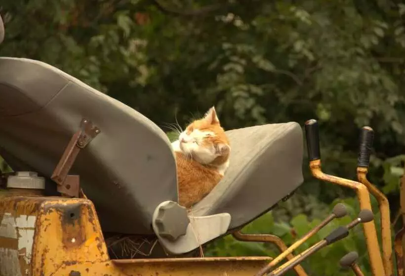 Hostelli Le Petit Chateau