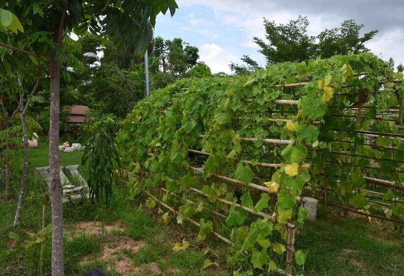 Hotel เซราะกราว บูติก รีสอร์ท Sohground Boutique Resort