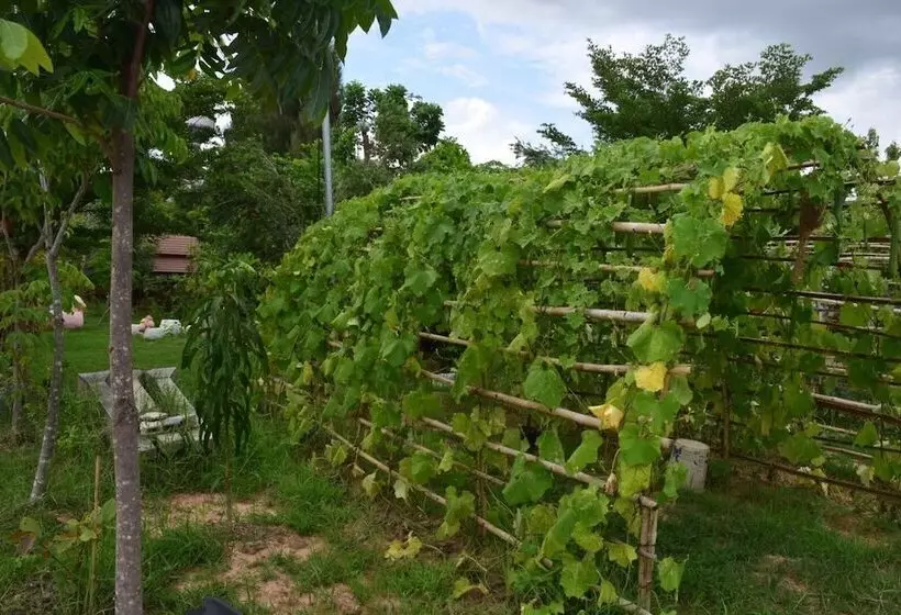 Hotelli เซราะกราว บูติก รีสอร์ท Sohground Boutique Resort