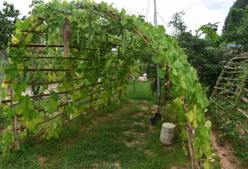 Hotelli เซราะกราว บูติก รีสอร์ท Sohground Boutique Resort