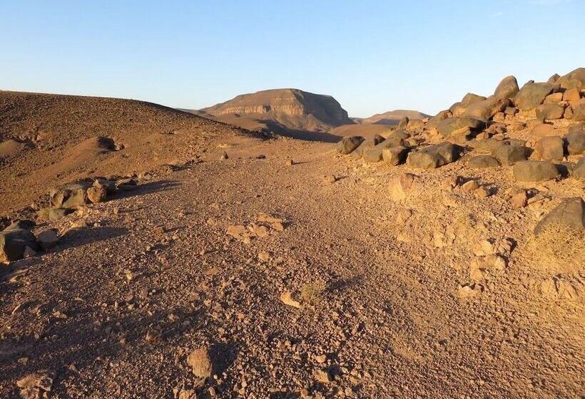 ホテル Auberge Restaurant Tissili  Oasis De Fint