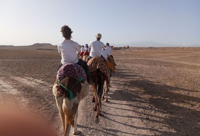 ホテル Auberge Restaurant Tissili  Oasis De Fint