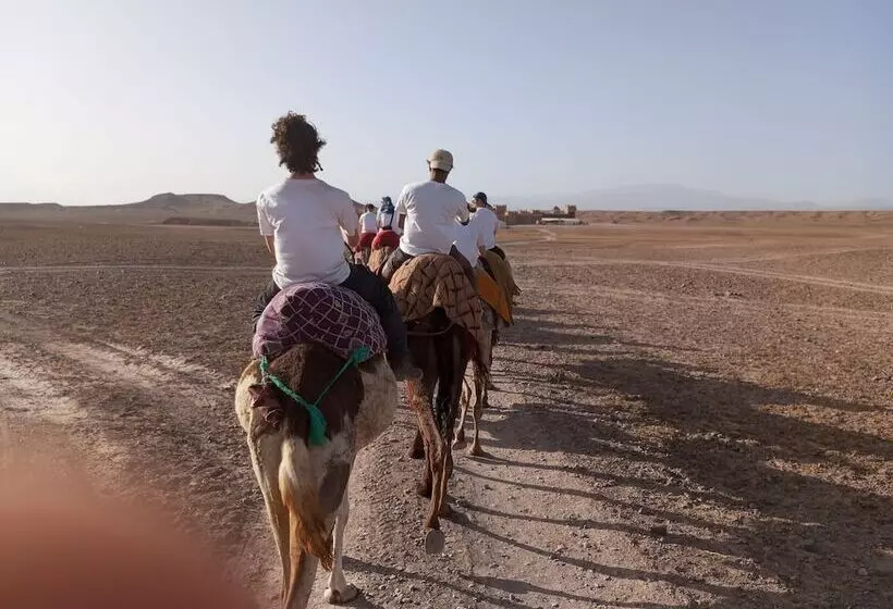 Hotelli Auberge Restaurant Tissili  Oasis De Fint