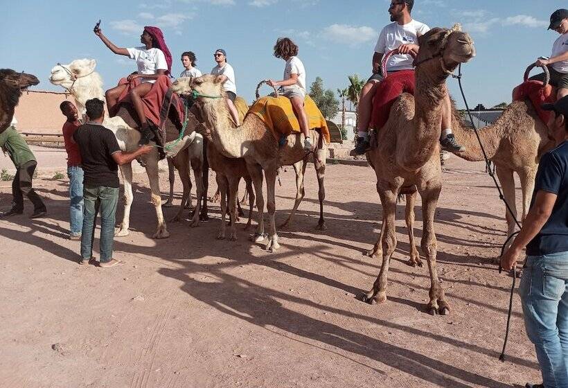 ホテル Auberge Restaurant Tissili  Oasis De Fint