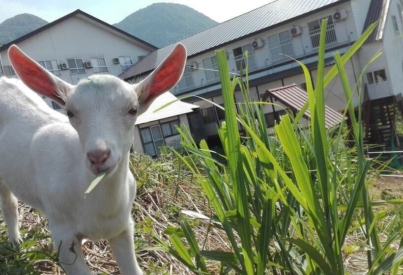 酒店 Dancinghouse Chikichiki Banban