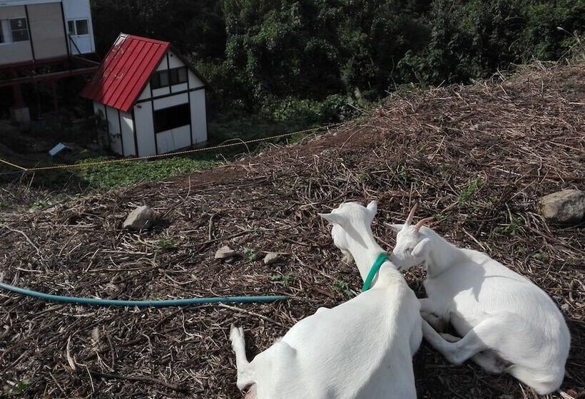 酒店 Dancinghouse Chikichiki Banban