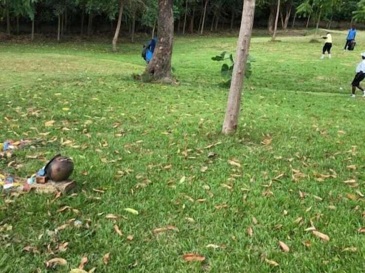 בית מלון כפרי Grand Eco Cabanas