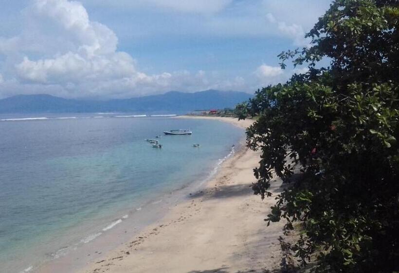 בית מלון כפרי Lakey Beach Inn