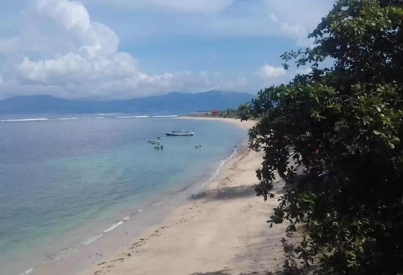 ホテル Lakey Beach Inn