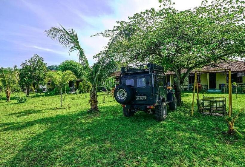 בית מלון כפרי Lakey Beach Inn