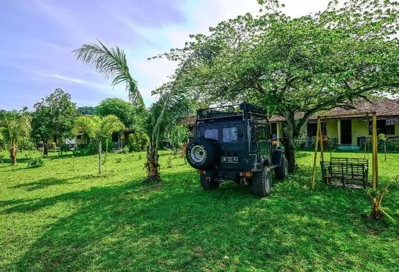 ホテル Lakey Beach Inn