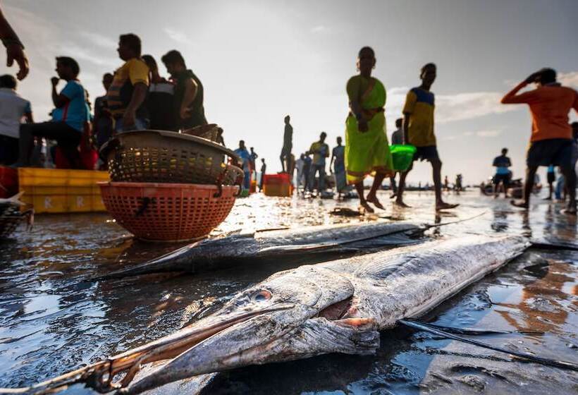 ホテル Lotus An Eco Beach Resort Dapoli Murud