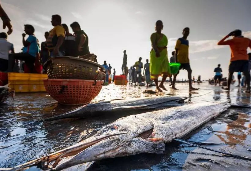 Hotelli Lotus An Eco Beach Resort Dapoli Murud