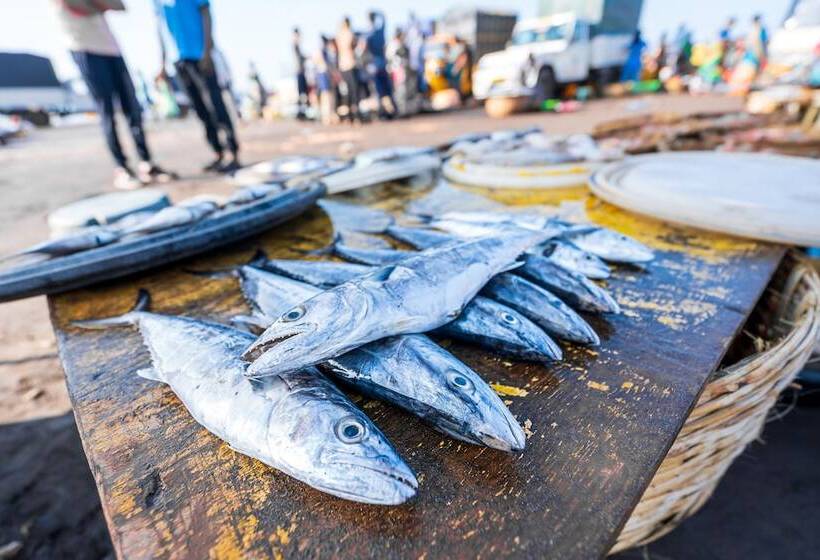 ホテル Lotus An Eco Beach Resort Dapoli Murud