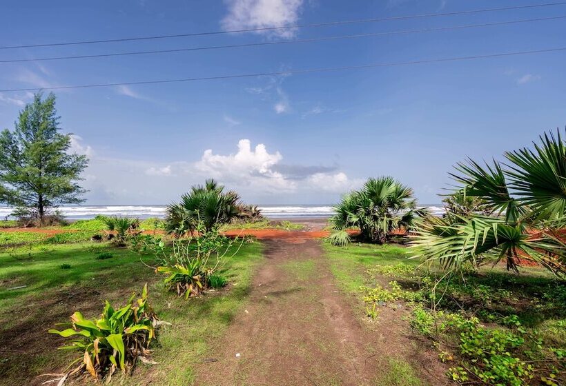 ホテル Lotus An Eco Beach Resort Dapoli Murud