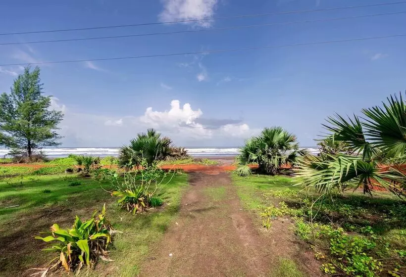 Hotelli Lotus An Eco Beach Resort Dapoli Murud