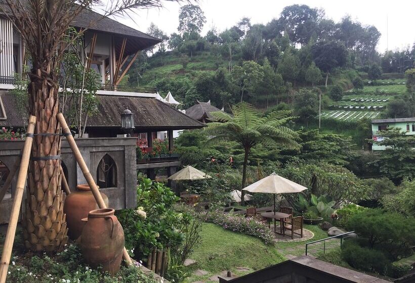 בית מלון כפרי Rumah Stroberi Organic Farm And Lodge