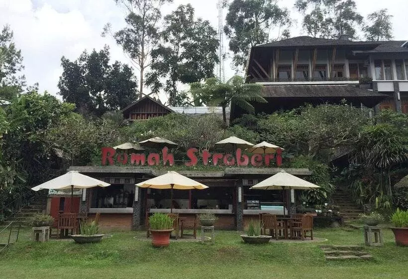 Hotelli Rumah Stroberi Organic Farm And Lodge